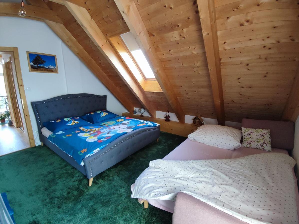 Vila Lesna House With A Garden 2 Minutes From The Center Of The Tatras Nová Lesná 外观 照片